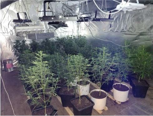 Talon yläkertaan oli rakennettu alue kannabiskasvien kasvatukseen rakennettu alue valaisimineen ja lämmittimineen.
