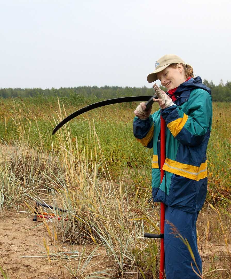 Pyhäjoen Yppärin Rajaniemen merenrantaniityn raivaustalkoot on järjestetty vuodesta 2003 lähtien.