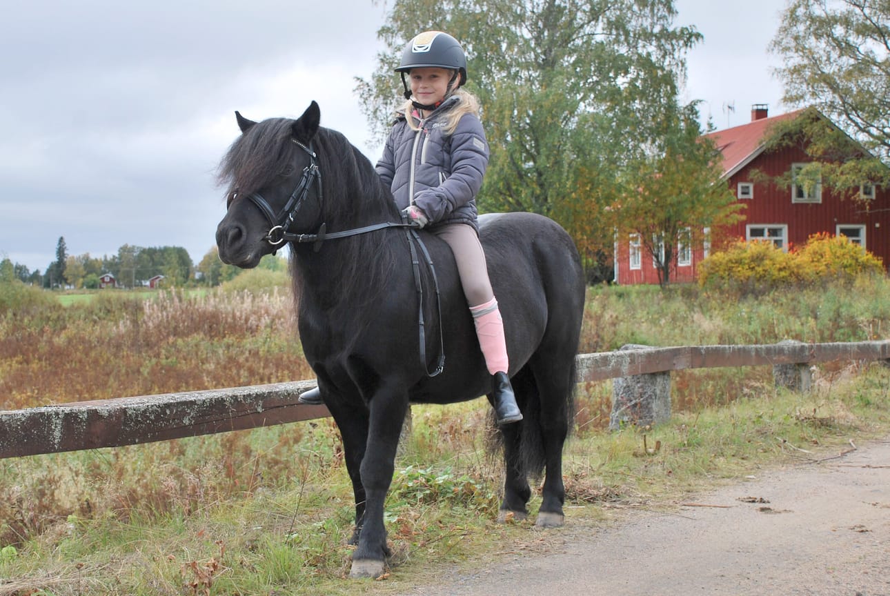 Käyttöluokkien Champion -voittajat Nora Nurmik ja shetlanninponi Skärgårdens Onassis treenaavat ja touhuavat yhdessä Kuortaneen Ruonalla.