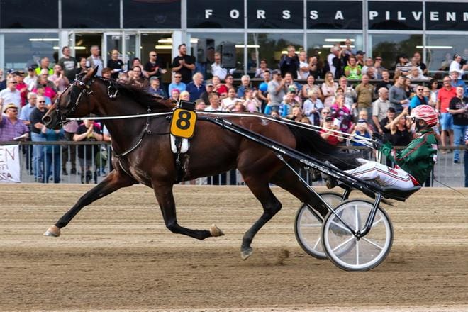 Ranch Kelly jahtaa Hannu Torvisen ohjastamana voittoa viikonloppuna ajettavassa Seinäjoki Race -ravikilpailussa.