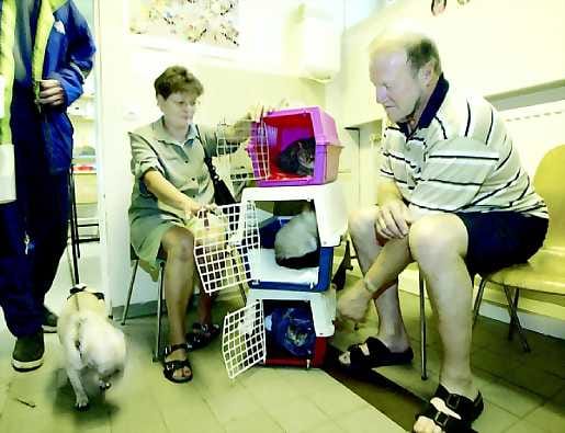 Mona seuraavaksi. Bichon frise Monan isäntäväen Arto ja Tuula Tennon mukaan kaikki päivystykseen saapuneet potilaat hoidetaan, vaikka tunnin vastaanottoaika venähtäisikin.