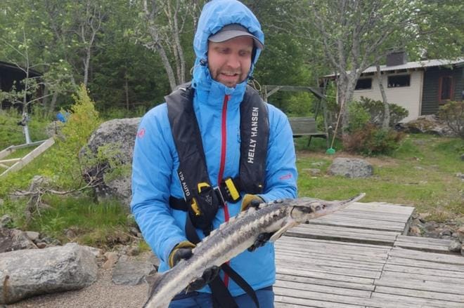 Jussi Sepän kalaverkkoon tarttui lauantaina erikoinen saalis. Kuvat: Jussi Seppä