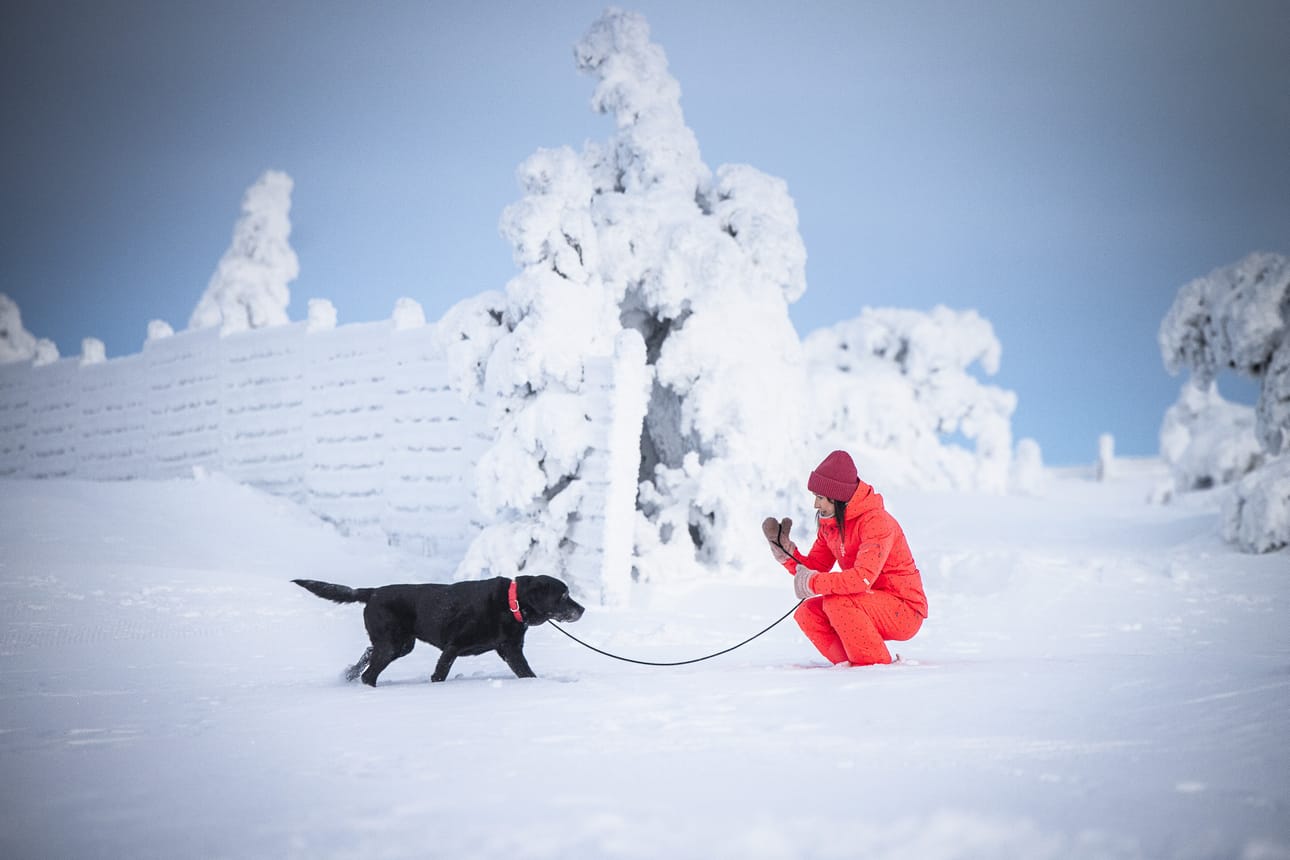 Lassila ulkoilee Ibran kanssa sen mukaan, miten koiravanhus jaksaa. Silloin kun hän lähtee tunturiin 4–5 tunnin mittaisille lenkeilleen, koira jää suosiolla kotiin.