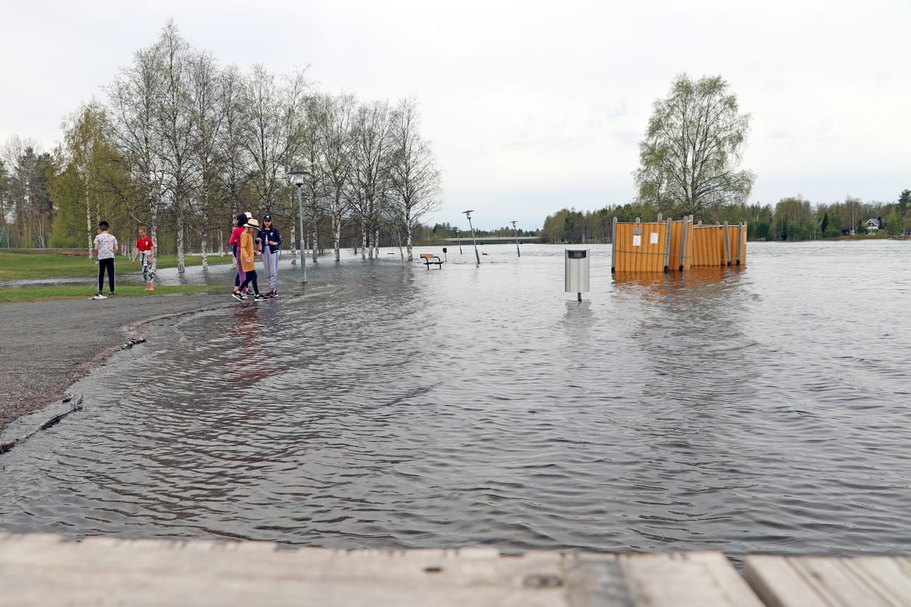 Iijoen Rajamaanranta 27.5.2020.