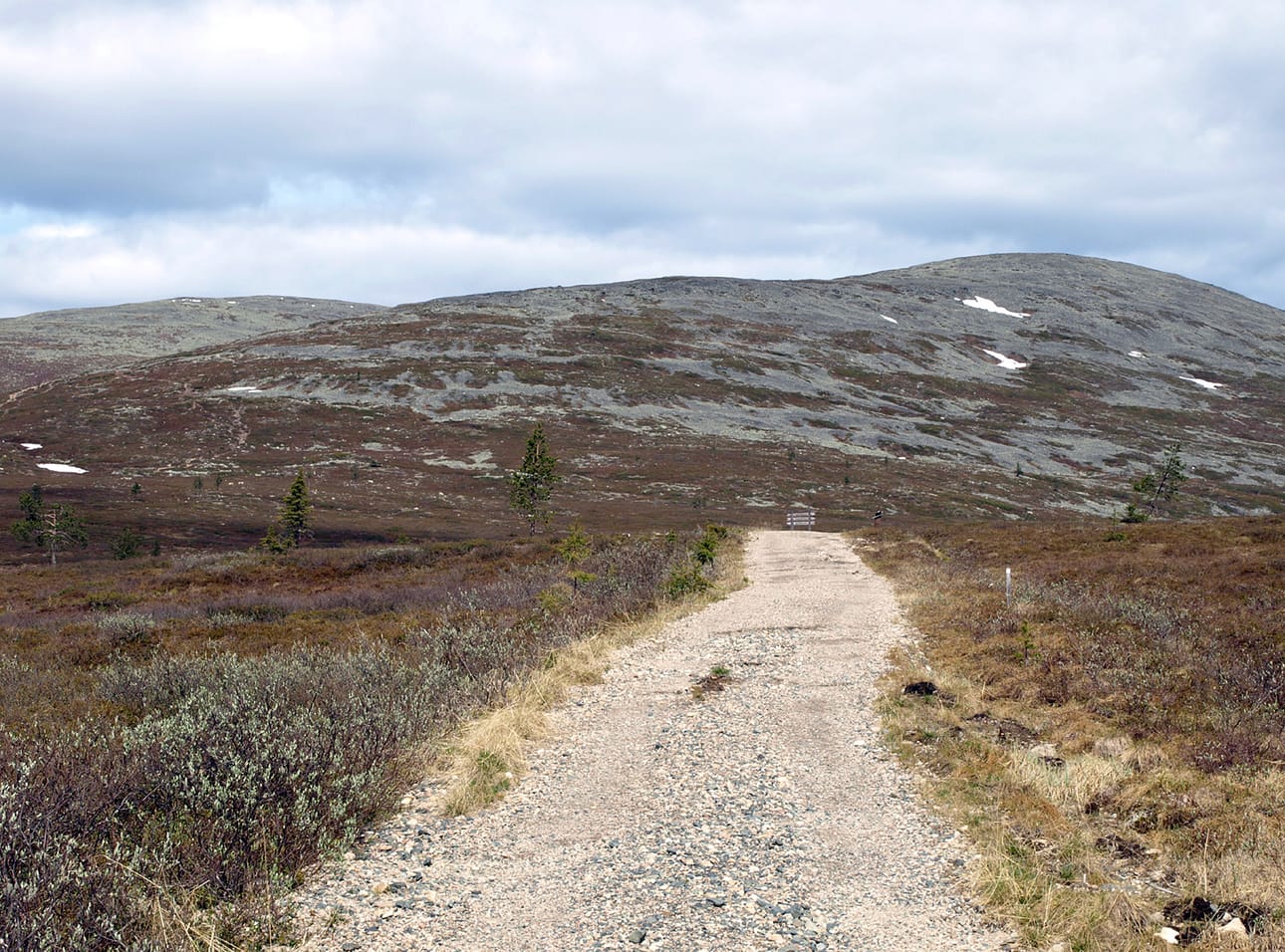 Pallas-Yllästunturin kansallispuisto on yksi Suomen suosituimmista kansallispuistoista kävijämäärältään.