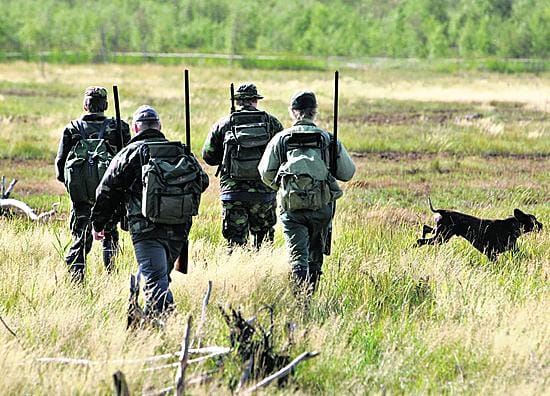 Vesilintujen metsästyskausi alkaa jälleen sunnuntaina.
