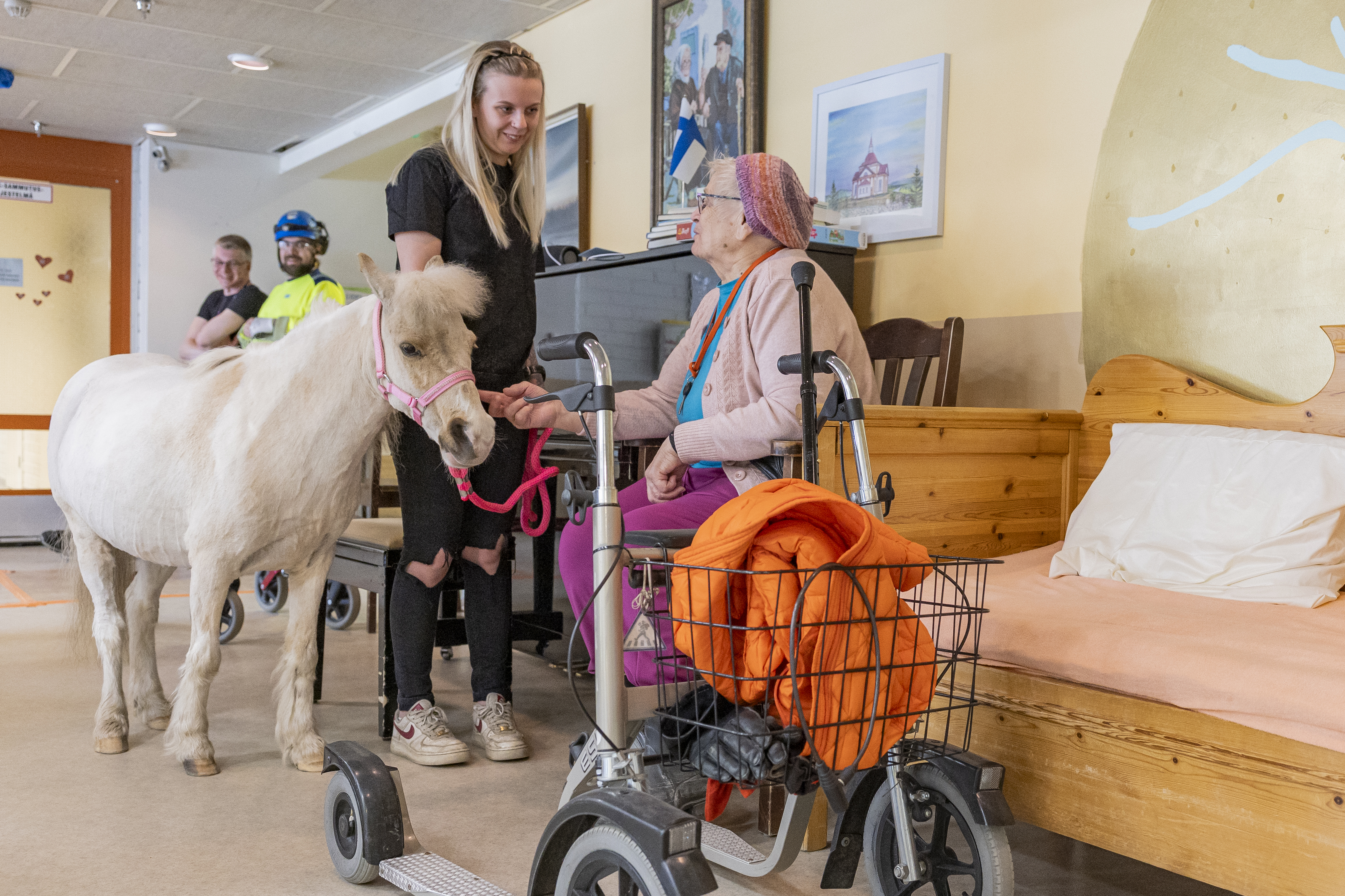 Sairaanhoitajaopiskelijat veivät minihevoset ja terapiakoiran palvelukotiin Taivalkoskella – eläimet toivat asukkaiden mieliin muistot lapsuudesta
