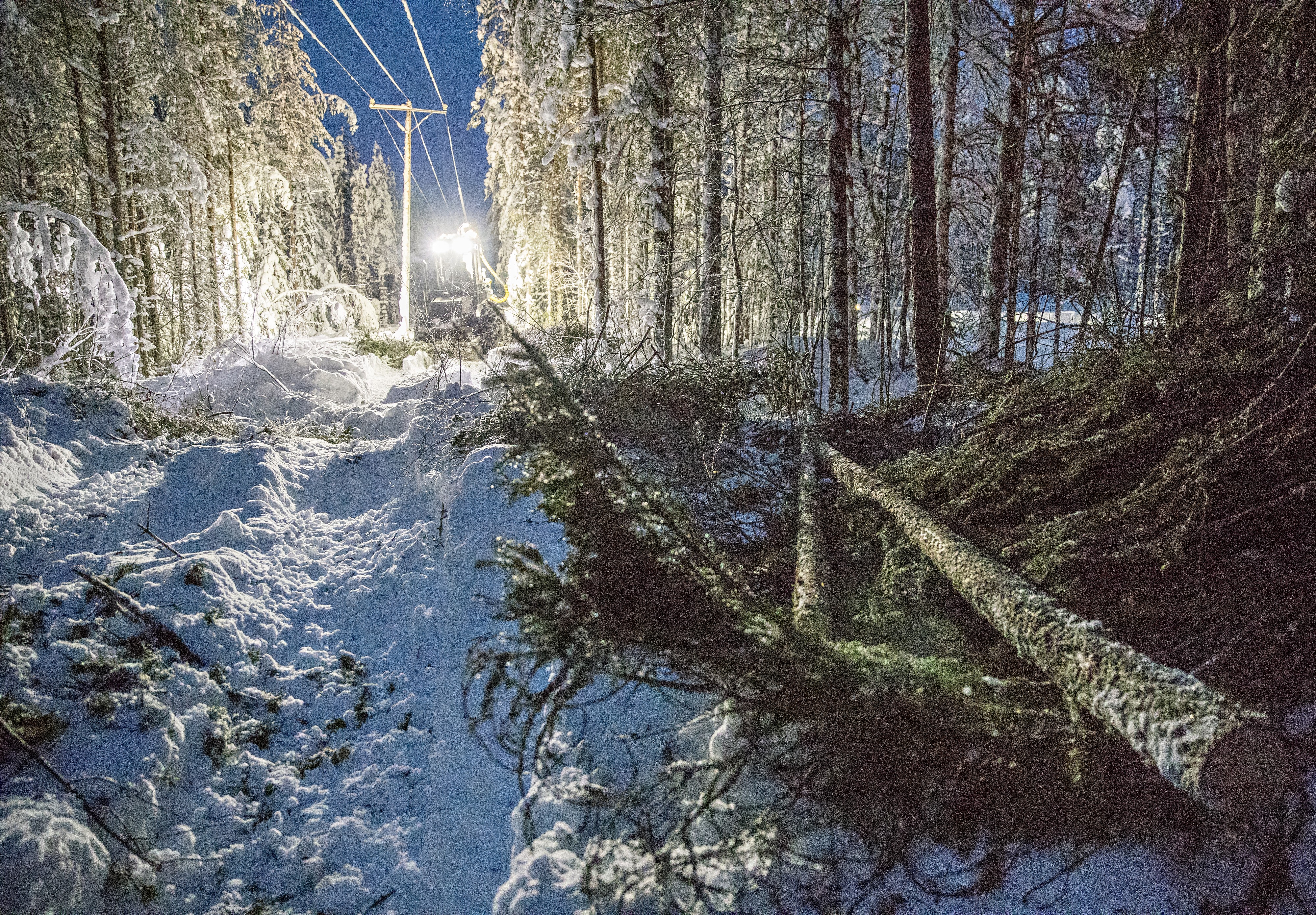 Etenkin Kainuussa oli paha tykkylumitalvi.
