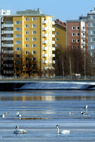 Toivoniemen pistetalojen asunnoista avautuu avaria näkymiä suistoalueelle.