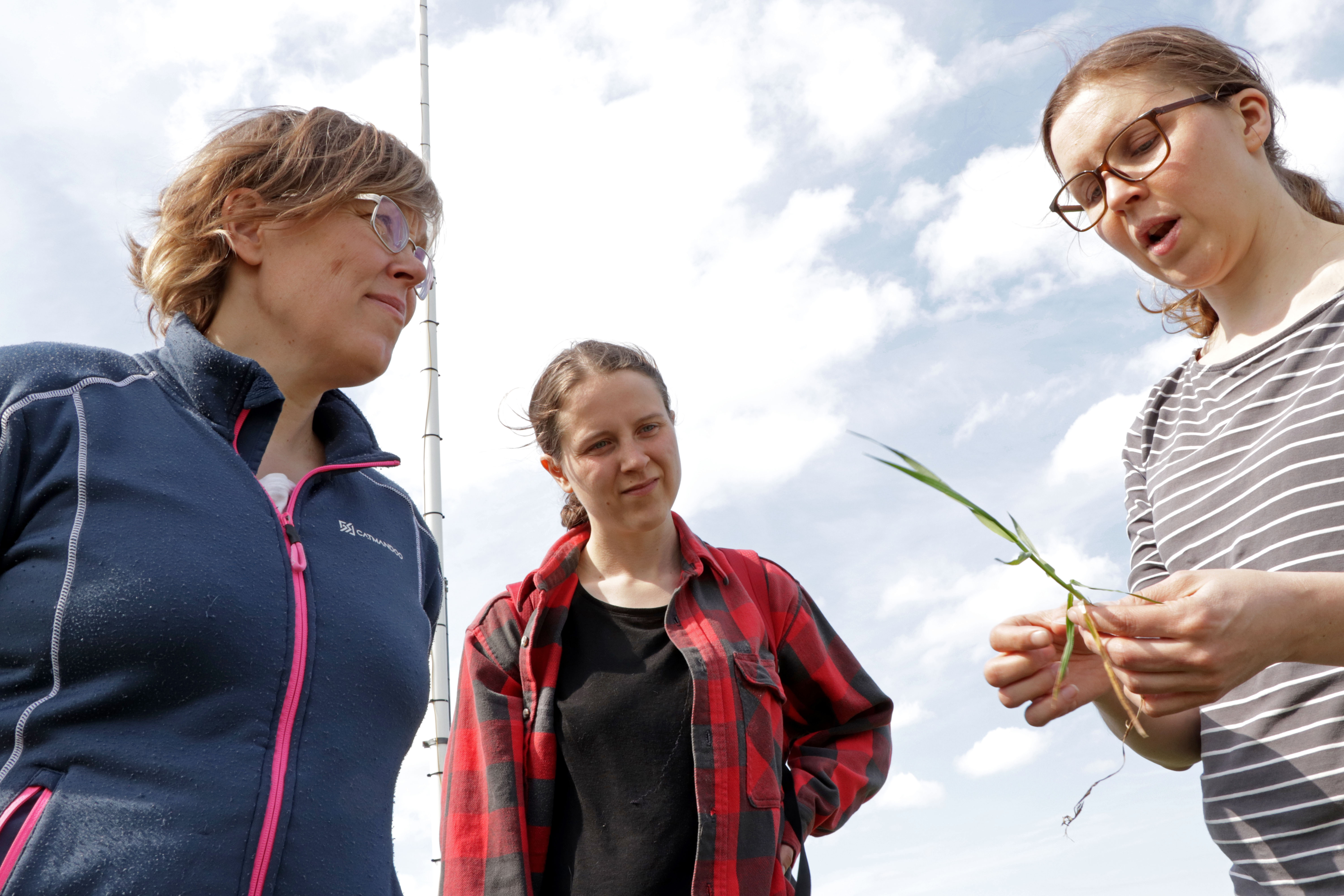 Ilmatieteen laitoksen professori Annalea Lohila, tutkija Henriikka Vekuri ja projektikoordinaattori Liisa Kulmala ovat kiinnostuneita turvemaiden kasvihuonekaasupäästöistä.