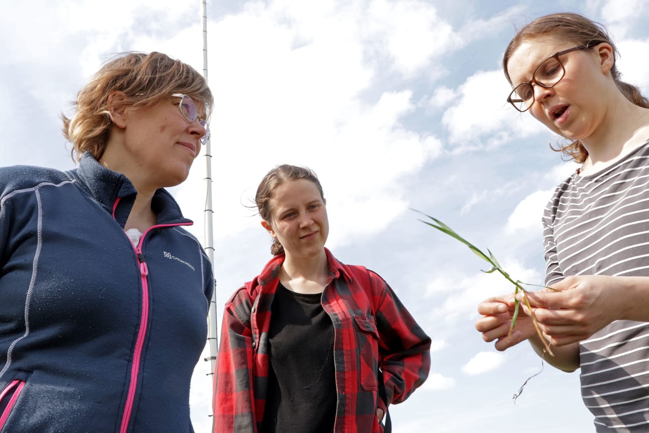 Ilmatieteen laitoksen professori Annalea Lohila, tutkija Henriikka Vekuri ja projektikoordinaattori Liisa Kulmala ovat kiinnostuneita turvemaiden kasvihuonekaasupäästöistä.