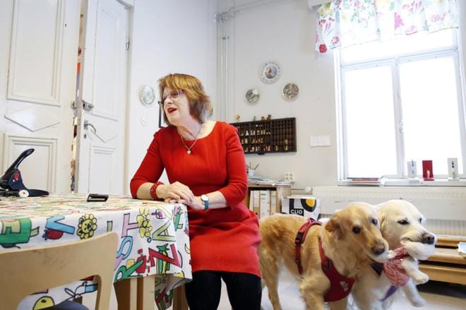 Englanninkielisessä leikkikoulussa kielikylpyjä antava Christine Hart-Merimaa ei ole brexitin kannattaja. Hänen kultaisetnoutajansa Daisy ja Rose taitavat sen sijaan olla asiassa erimielisiä. Toinen vetää yhteen suuntaan ja toinen toiseen. KUVA: Kari Mankonen