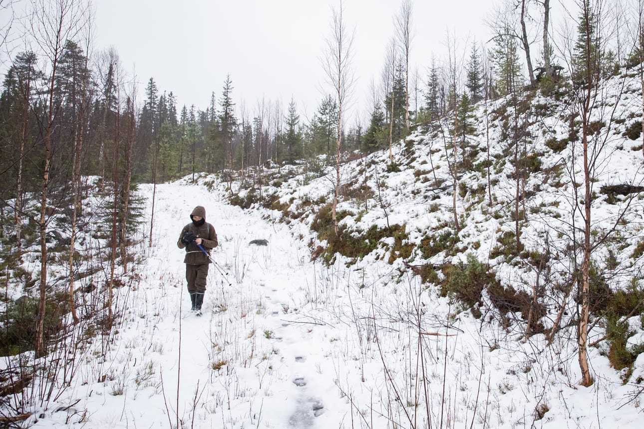 Ajoura kulkee Halosenvaaran rinteen myötäisesti. Halosen uunille päin kulkiessa Halosenvaaran hakkuut ovat oikealla ja luonnontilaisempi metsäalue kulkijan vasemmalla puolella.