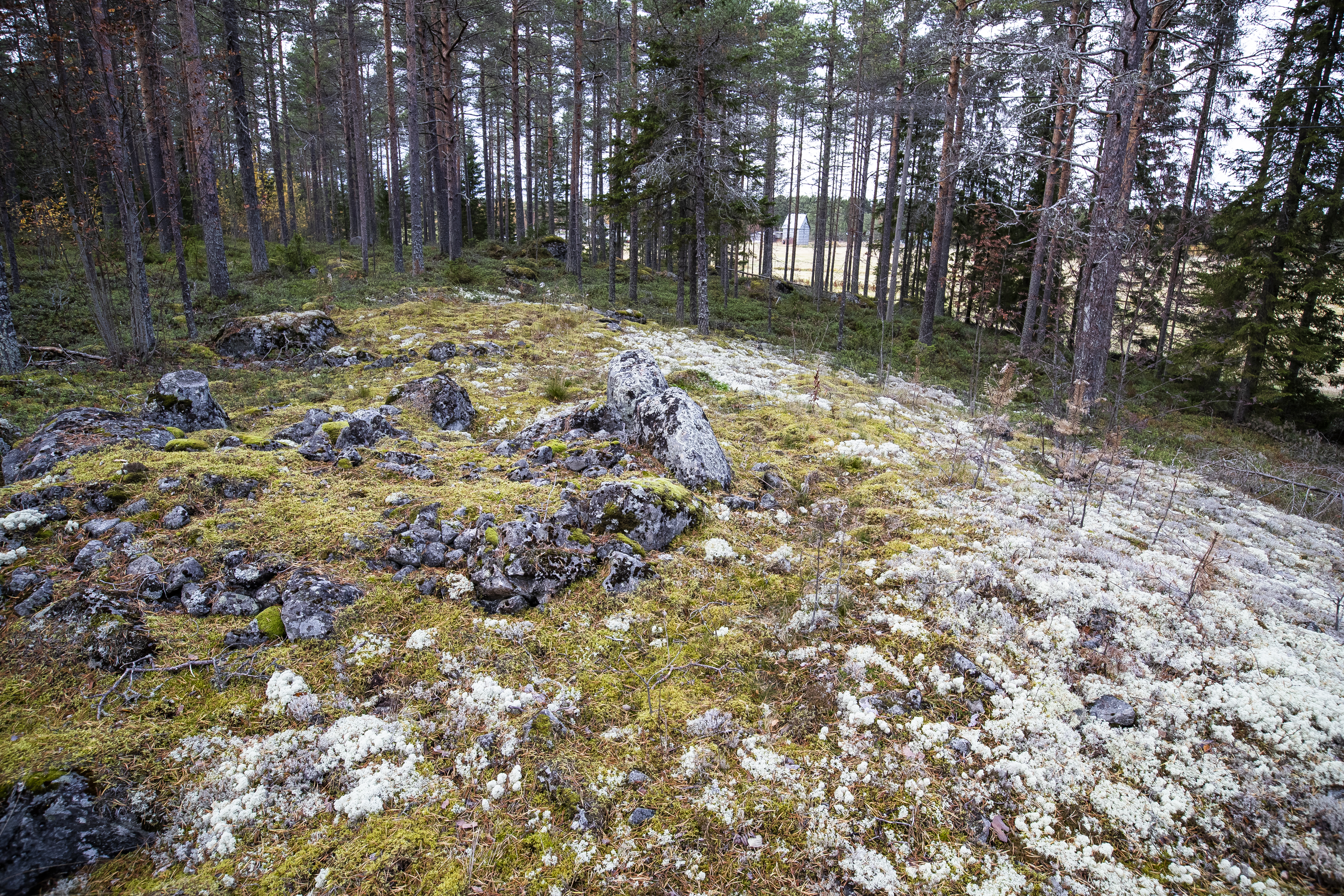 Tervakankaan rautakautisesta kalmistosta on löydetty muun muassa keramiikkaa, pronssi- ja rautaesineitä sekä hioimia ja kvartsiesineitä. Alueella on tehty kaivauksia 1990–1993.