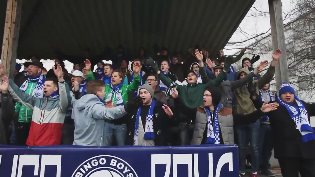 Bingo Boys
