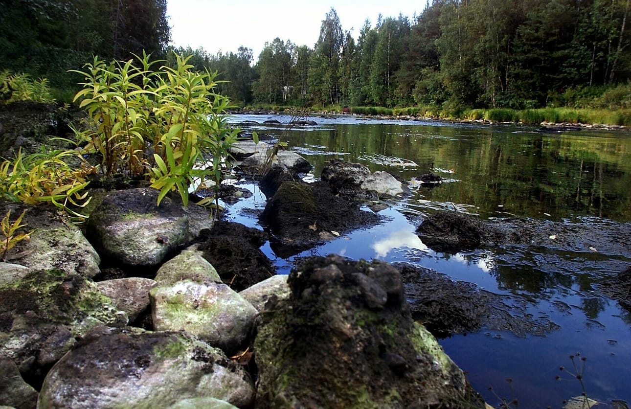 Viinivaaran pohjavesialueen vedestä on kiistelty vuosikymmeniä, että voiko Oulun vesi rakentaa alueelle vedenottojärjestelmän.