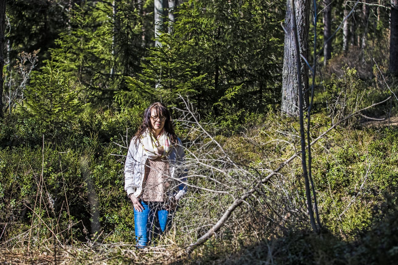 Raahen museon kokoelma-amanuenssi Miska Eilola kertoo, että Pitkänkarin alueelta on tehty useista historiallisia löytöjä. Pikipolttimon paikka on saanut muinasjäännös-statuksen.