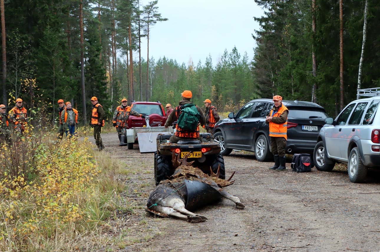Jurvan Metsästysseuran hirviporukka ei jäänyt jahdin avauspäivänä ilman saalista.