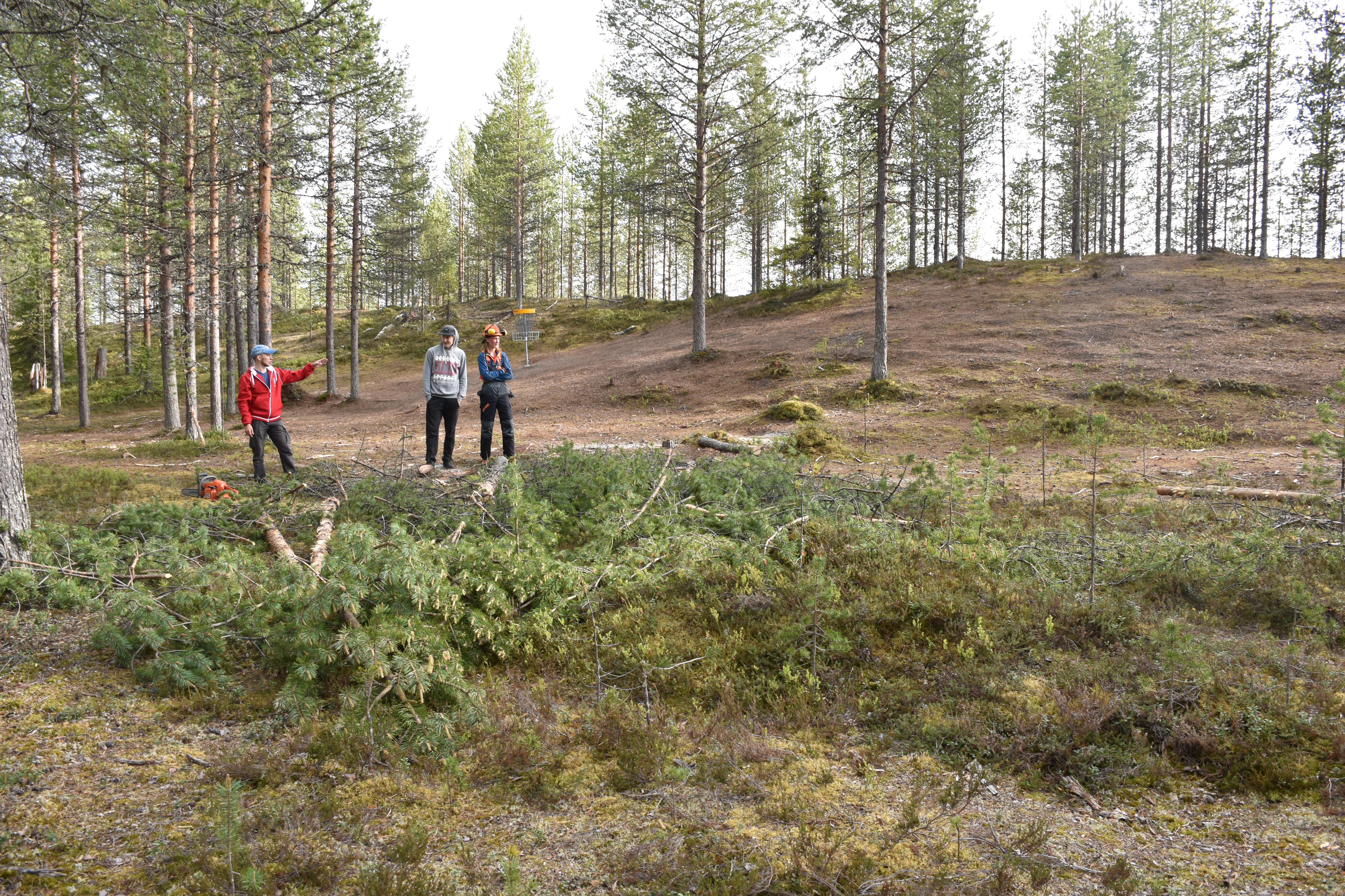 Nämä miehet talkoilevat, jotta muut voivat harrastaa ilmaiseksi – "Väkeä lappaa yötä myöten"