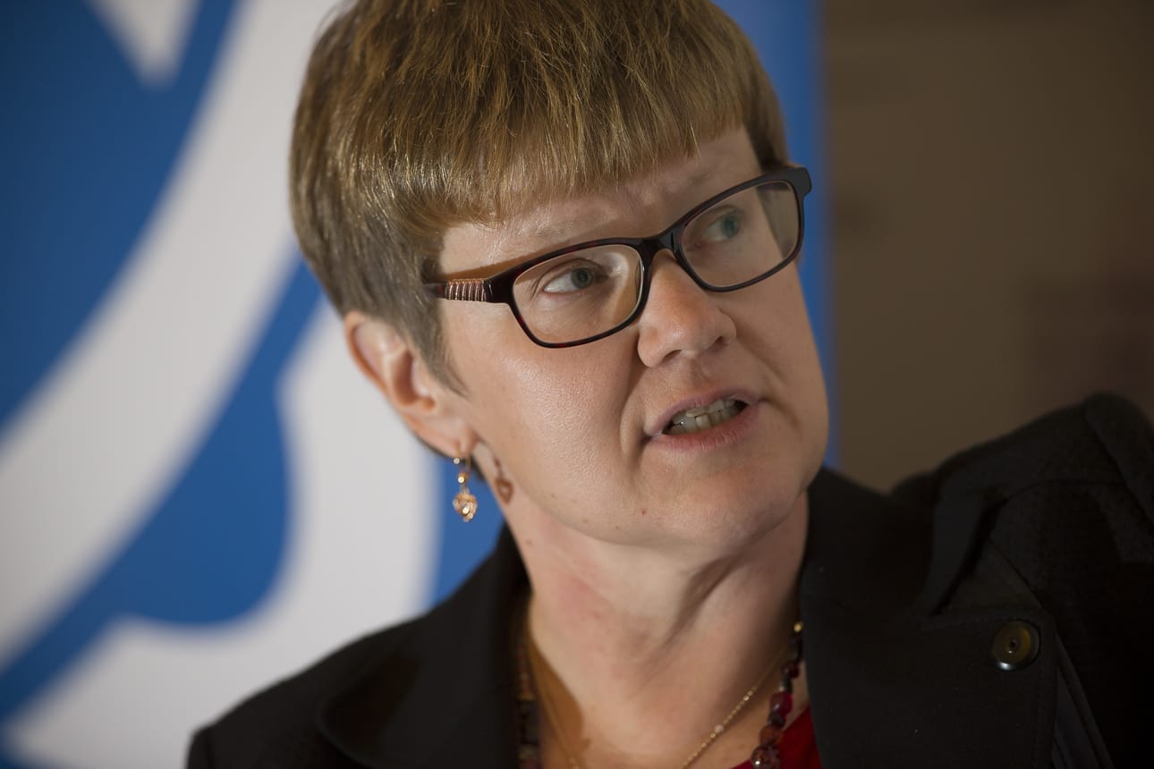 STUKin ympäristön säteilyvalvonnasta vastaava laboratorionjohtaja Maarit Muikku kertoi Hanhikiven alueen valvonnasta eilen tiistaina Pyhäjoella.