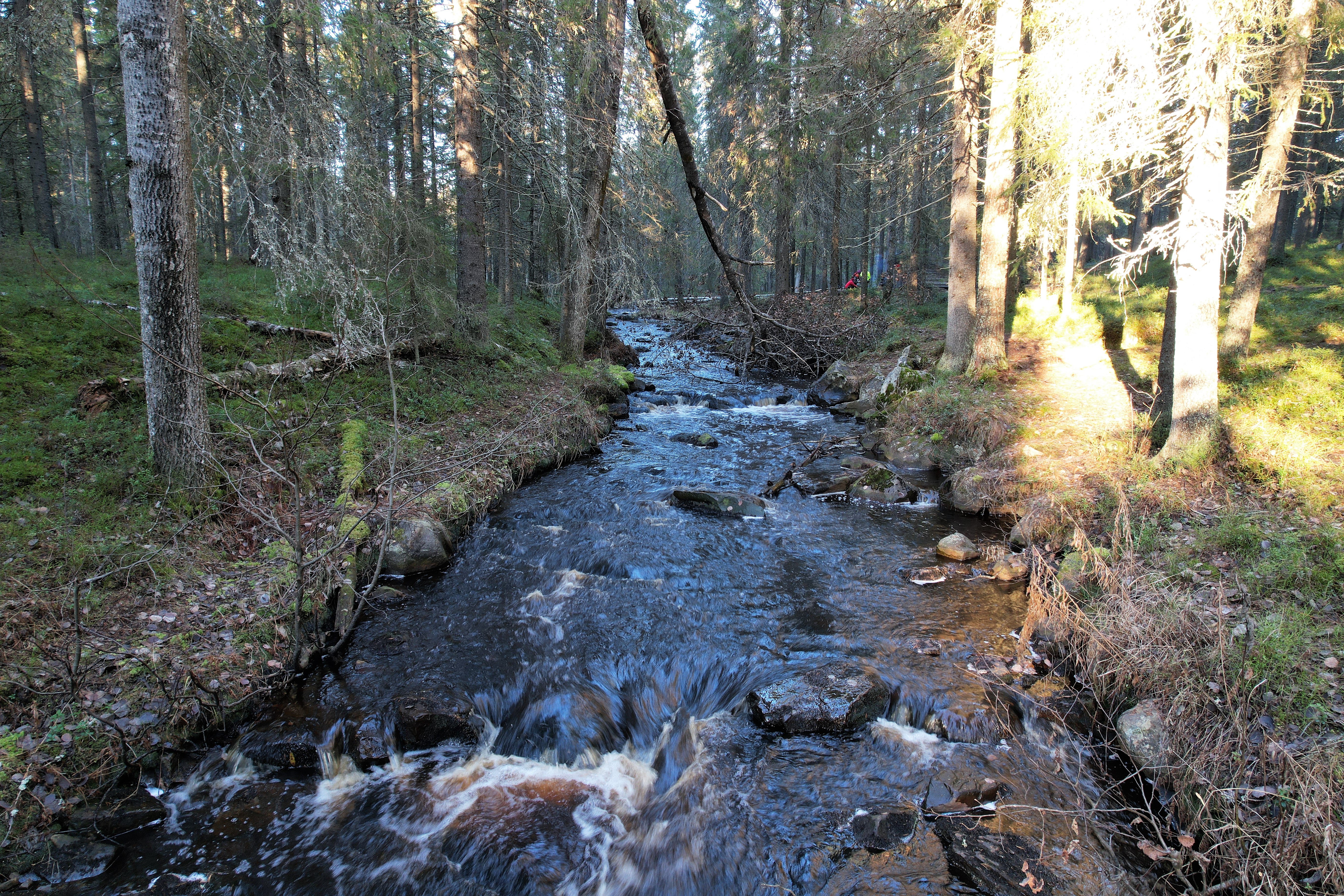 Kaikki Sanginjoesta: Tämä retkikohdearvio kertoo, miksi Oulun lähierämaahan kannattaa lähteä retkelle
