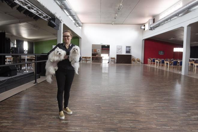 Maltankoirat Milou ja Bettina ovat silloin tällöin Johanna Salomäen mukana töissä. Vanhassa tehdasrakennuksessa riittää tilaa temmeltää. KUVA: MARIKA EIKKULA
