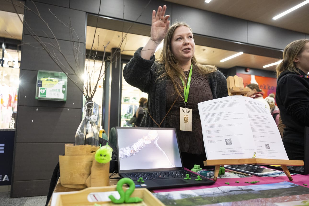 Väitöskirjatutkija Mirella Karppinen kaipaa kuvia mittariperhosten aiheuttamista tuhoista.