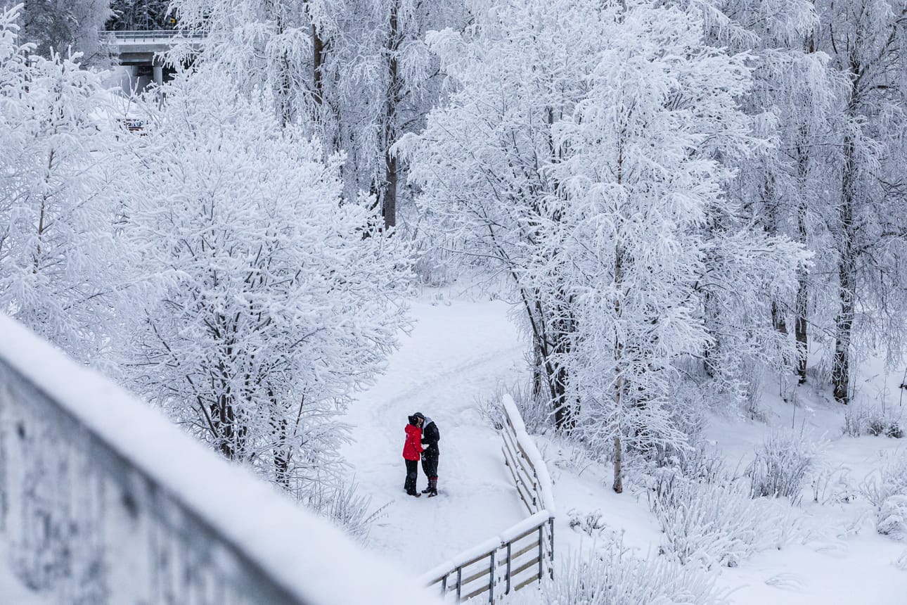 Valkea huurre puissa luo postikorttimaiseman jopa kaupunkiin. Huurre syntyy erilaisissa olosuhteissa kuin kuura.