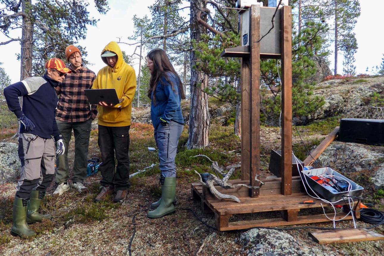 WWF:n Luontolivessä pääsee seuraamaan Inarissa talvehtivia lintuja. Arto Saikkonen (vas.), Joonas Fritze, Justus Hyvärinen ja Terhi Hultamo tarkistavat, ovatko kameroiden kuvakulmat sopivia. Yläkamera on kohdistettu keloon ja alakamera ruokapöydälle.