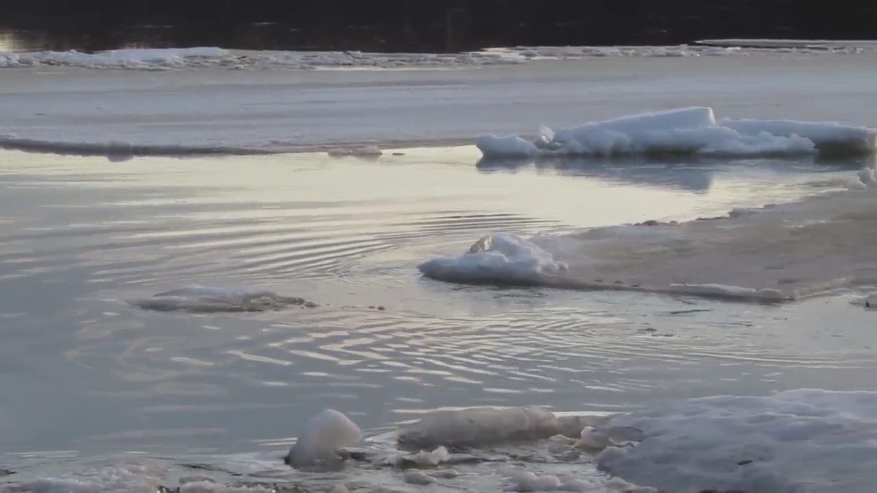 Ivalojoki vapautuu 2016