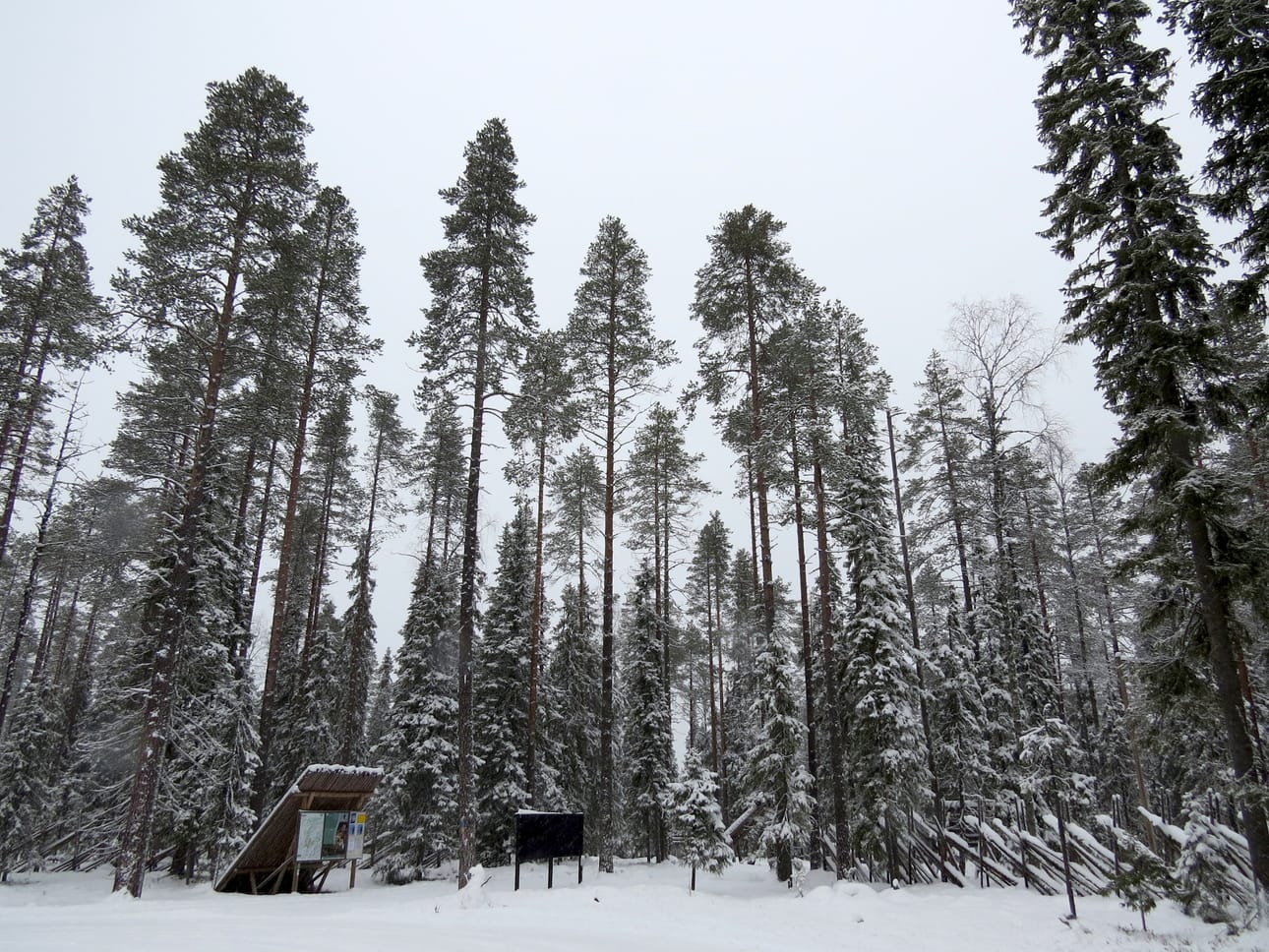 Pudasjärven kehittämisjohtaja Jorma Pietiläinen kannustaa yrittäjiä innovatiivisuuteen ja kokeilemaan uusia liikeideoita. Hänen mukaansa esimerkiksi Suomen luonto tarjoaa monia mahdollisuuksia kaupantekoon – internet puolestaan tarjoaa väylän kansainvälisille markkinoille.