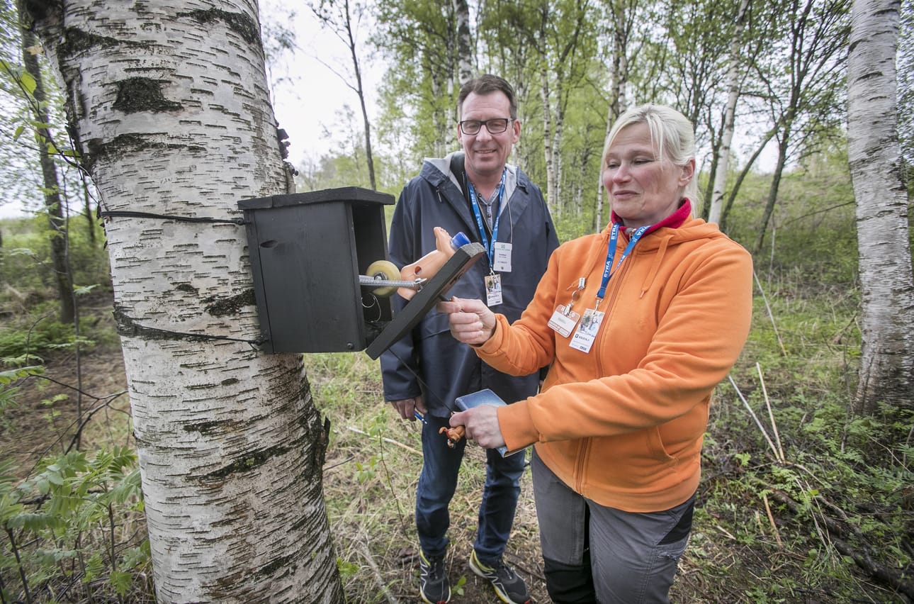 Ari Huhtamäki Ulvilasta ja Birgitta Pihlajaniemi Sastamalasta Onnenpotku-peruskätköllä.
