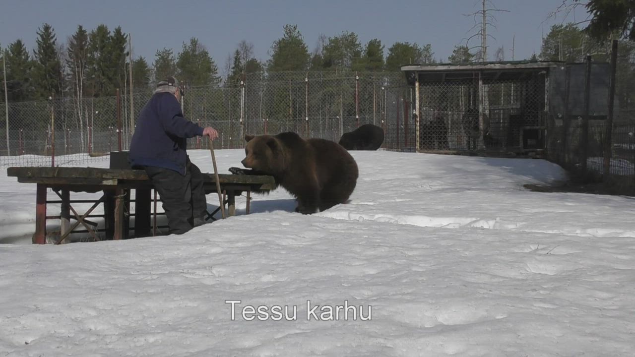 Sulo Karjalainen seuraa Kuusamon karhujen heräämistä