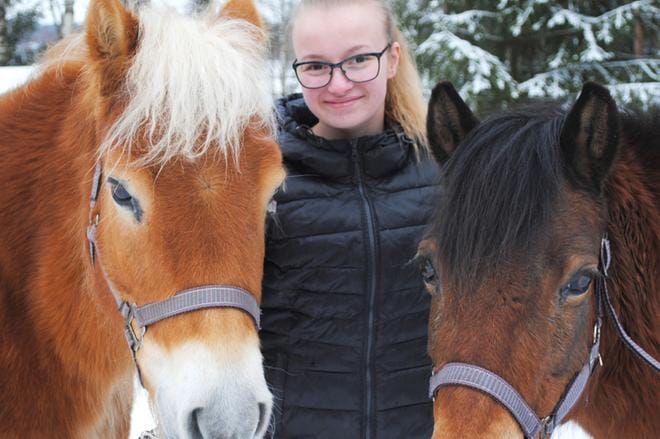 Sannan poneista tumma Rilla on pomo, Reea on asiaan sopeutunut. KUVA: MINNA HIIRONEN