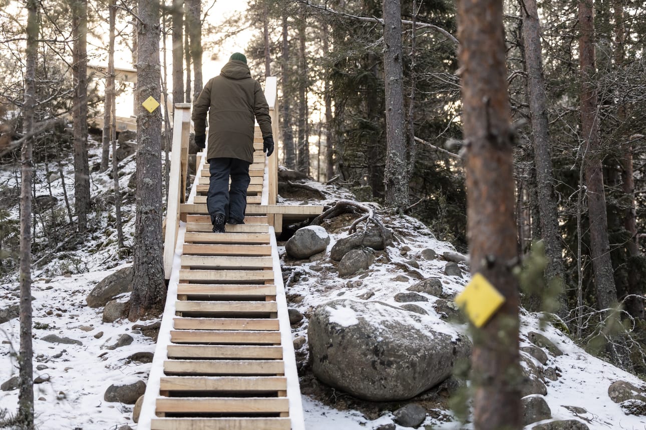 Harjun pohjoispäähän on rakennettu uudet portaat.