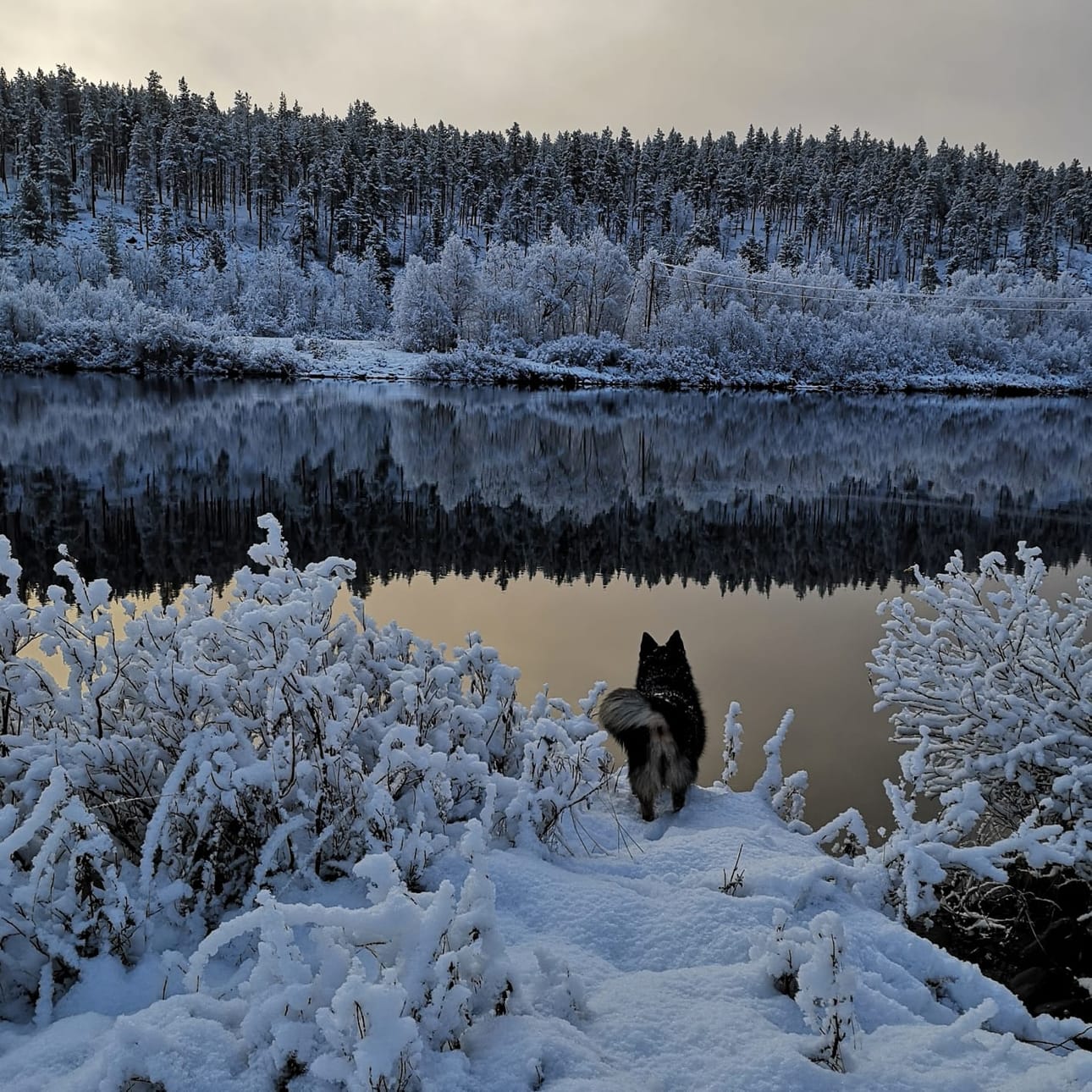 Lillin kanssa rannalla Inarin Kutturassa.