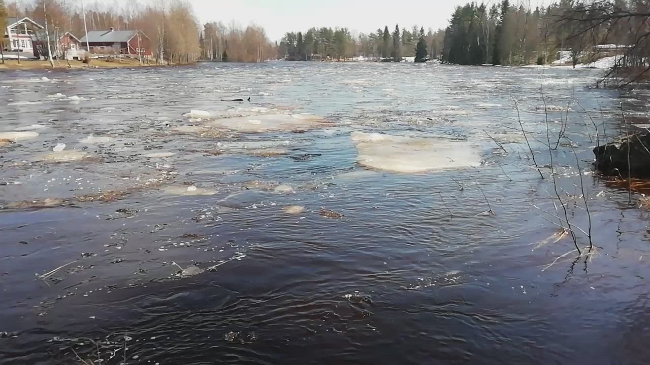 Jäät liikkuvat Kiiminkijoella