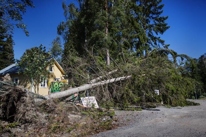 Kaksi puuta oli kaatunut roskakatoksen ja postilaatikoiden päälle nuorisotalo Villa Gerbyn edustalla. KUVA: OUTI NEUVONEN