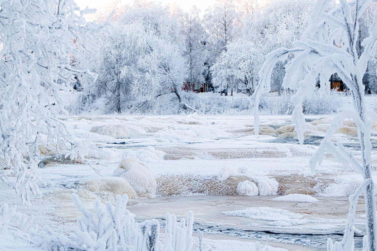 Tammikuussa puut ovat saaneet pintaansa huurteisen kerroksen, kun kostea ilma on tarttunut puun pintaan. Kuva tammikuun alkupuolelta Ruukin Ruukinkoskelta.