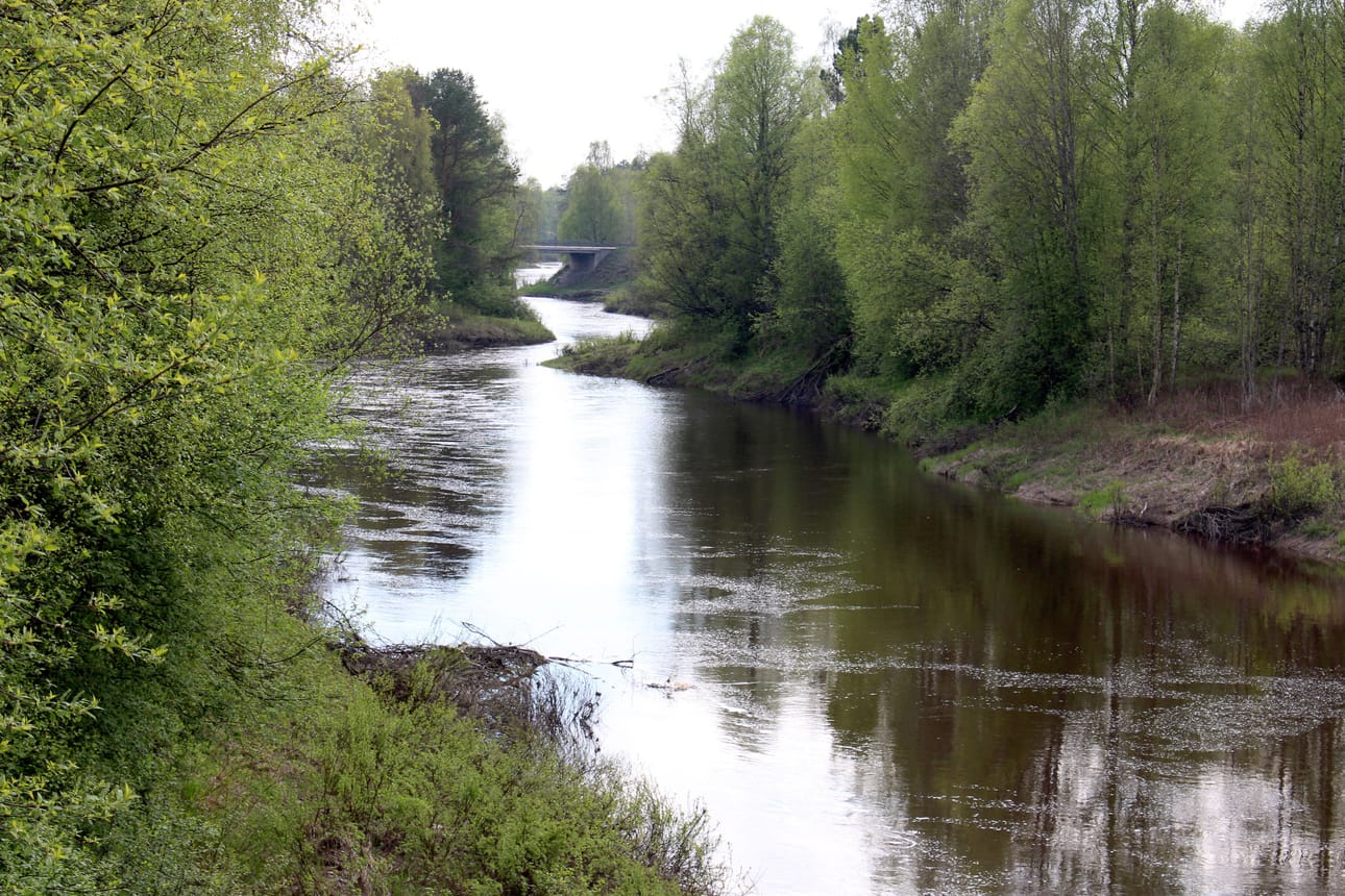 Lamujoen valuma-alue Ristisenojalta Pulkkilan kirkonkylälle on yksi maakunnan vesistökunnostusasioita selvittelevän hankkeen pilottialueista.