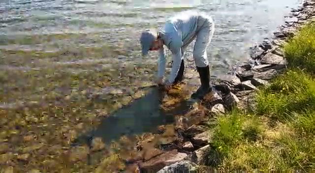 VID-20190727-WA0015.mp4 taimen.mp4