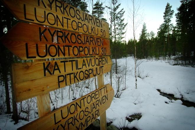 Kyrkösjärven länsipuolella kulkuvalla Seppäintiellä tihutyöt jatkuvat vuodesta toiseen.
