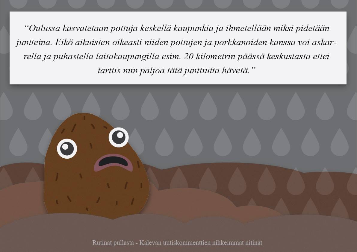 Rutinat pullasta -sarjan ensimmäisiä kuvia.