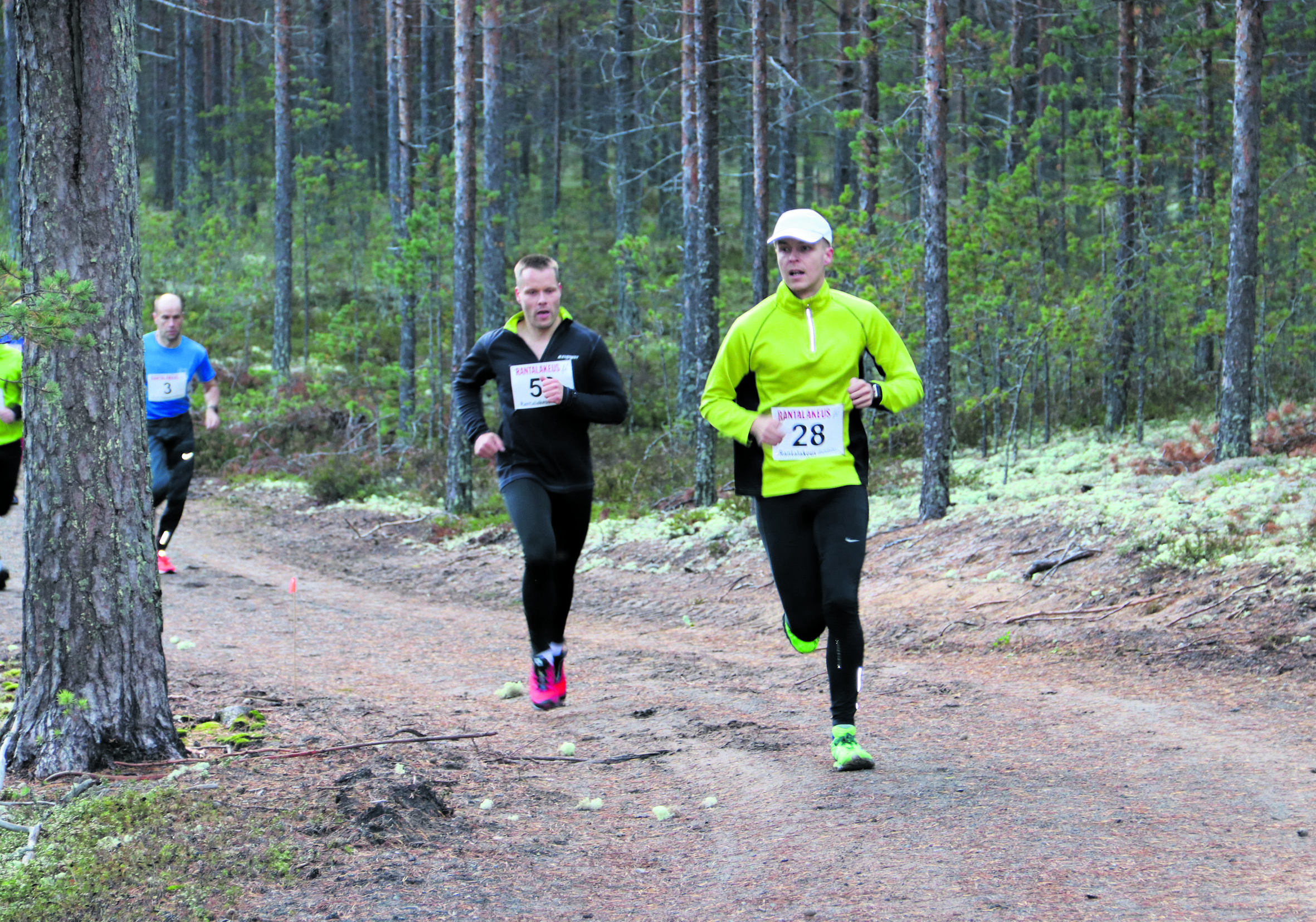 Radan varrella oli mukavia metsämaisemia.