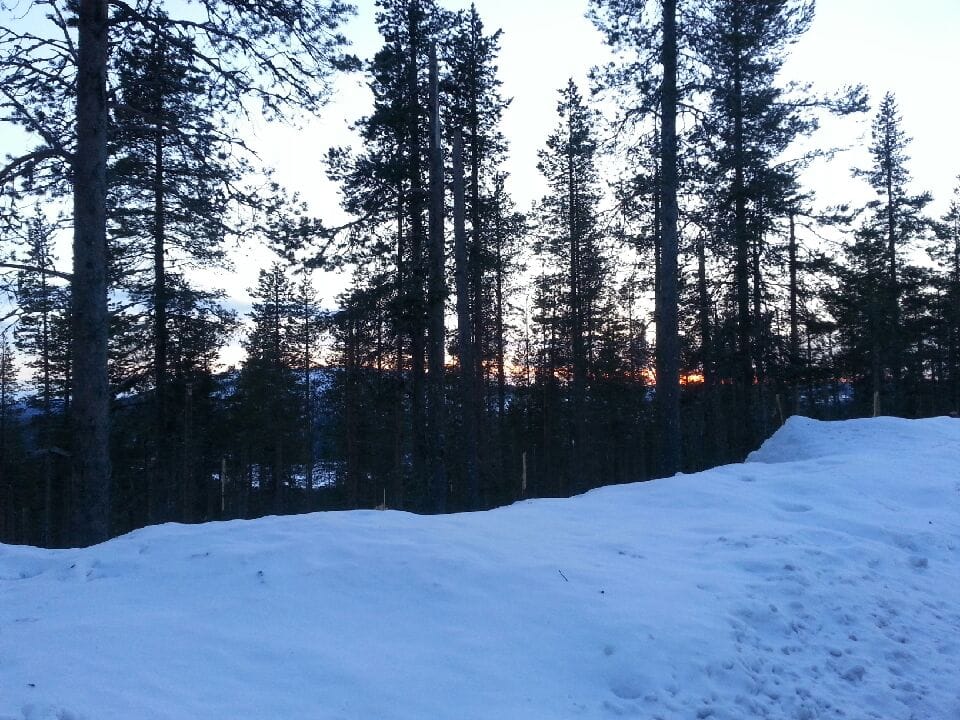 Matkaseurue koki karvaan pettymyksen, kun mökin tilalla olikin pelkkää metsää.