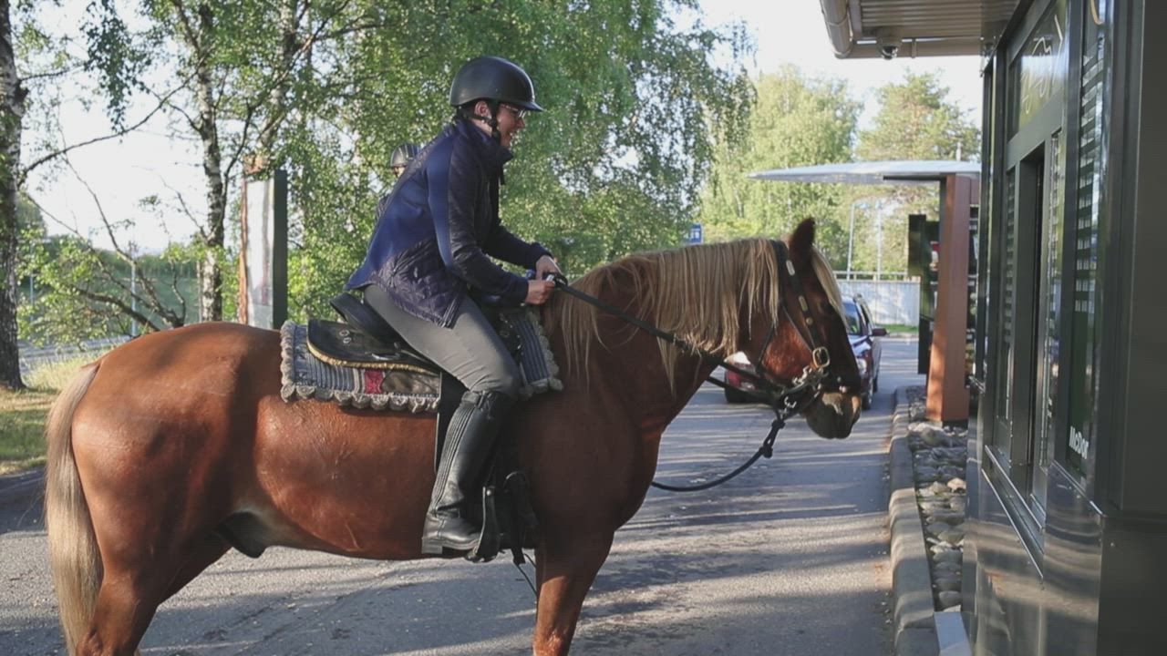 Eräratsujen hevoset poikkesivat pikaruokalan autokaistalle Rovaniemellä