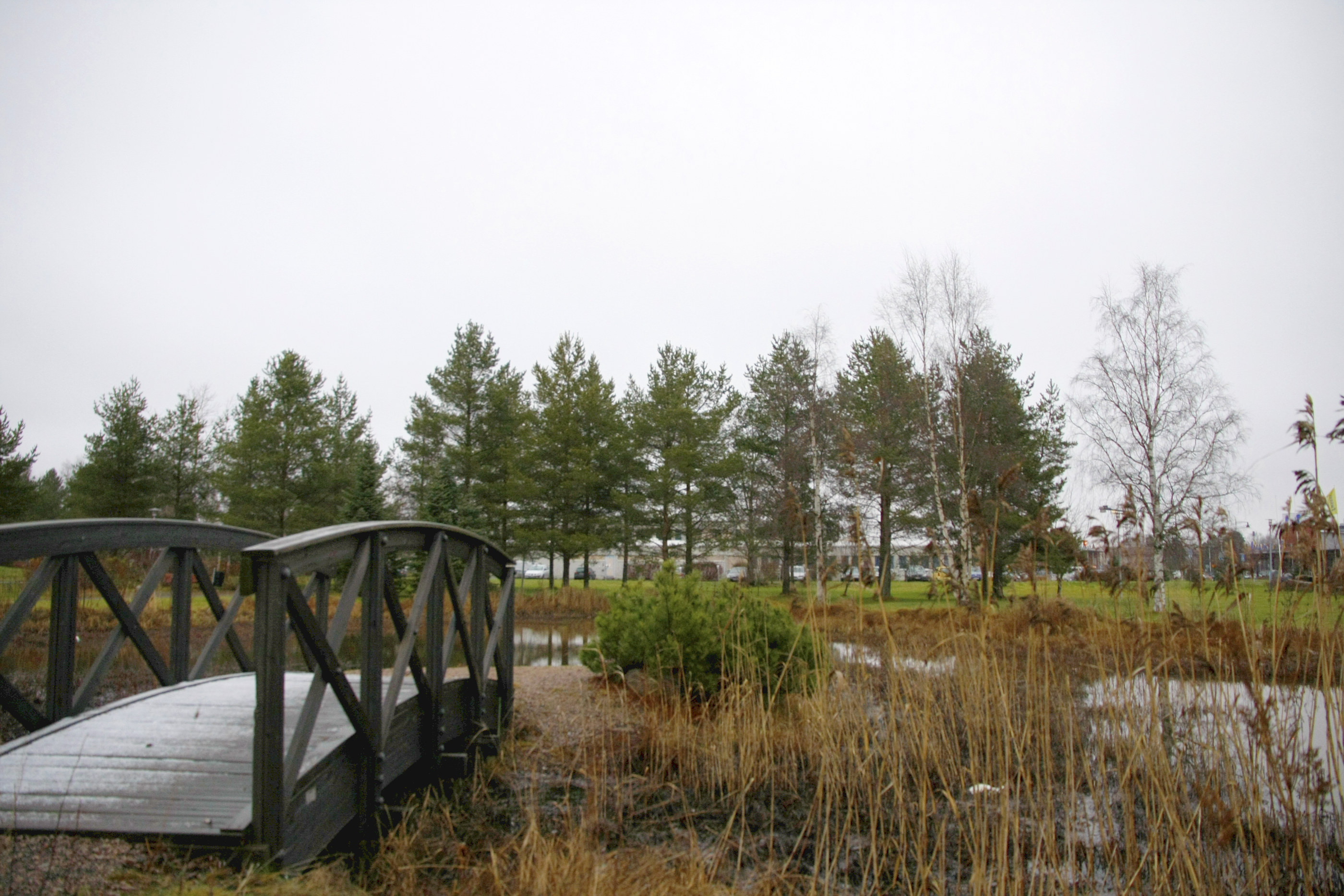 Liikekeskus rakennetaan vanhan virastotalon kortteliin kuvan metsikön toiselle puolelle. Työt alkavat ensi kesänä.