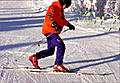 Telemark