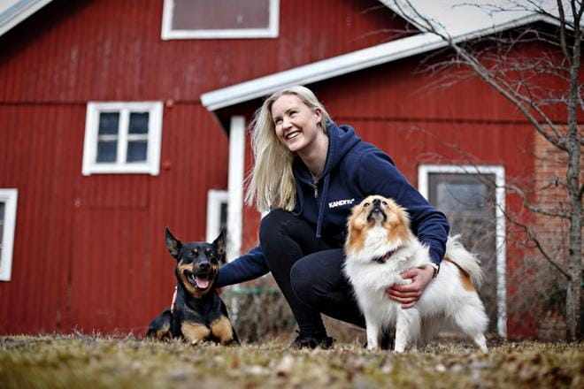 Eläinlääketieteen kandin Sari Mäkelän lemmikkikoirat kaksivuotias Oiva ja viisivuotias Tyyne pitävät huolen siitä, että tekemistä riittää vapaa-aikana myös kotioloissa. KUVAT: TOMI KOSONEN