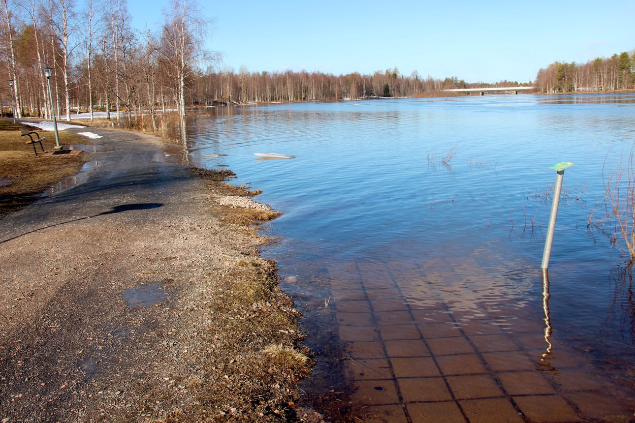 Tiistaiaamuna vesi oli nousussa Kurenalan Rajamaanrannassa.